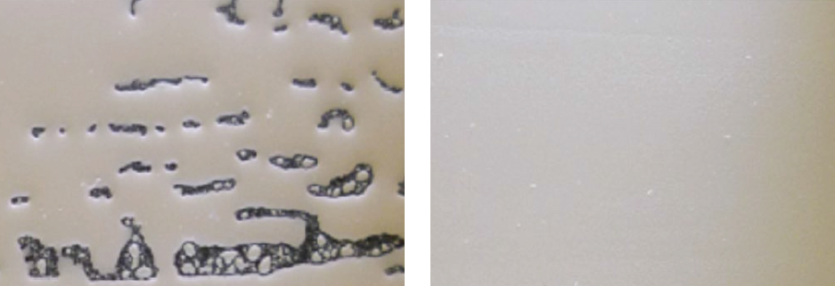 silicone free substrate wetting / flow and leveling agent additive